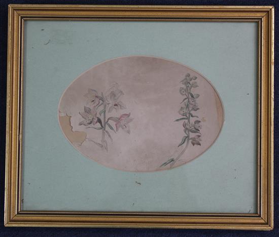 Attributed to Beatrix Potter (1866-1943) Studies of wild flowers, ovals, 6 x 8.75in.